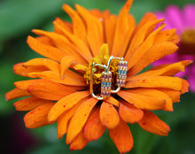 Load image into Gallery viewer, Gilded Twilight Striped Beaded Hoop Earrings | The Twilight Bloom Collection

