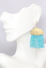 Load image into Gallery viewer, April Showers Rain Cloud Earrings

